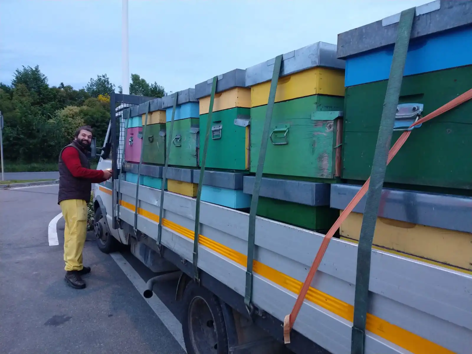 Transumanza, immagine 2, bio